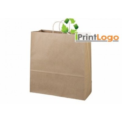 ECO-FRIENDLY PAPER BAGS-IGT-EP1441